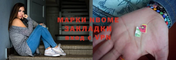 индика Абинск