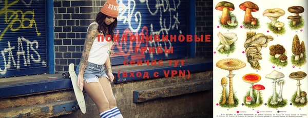 индика Абинск