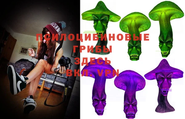 индика Абинск