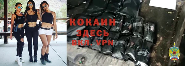 индика Абинск
