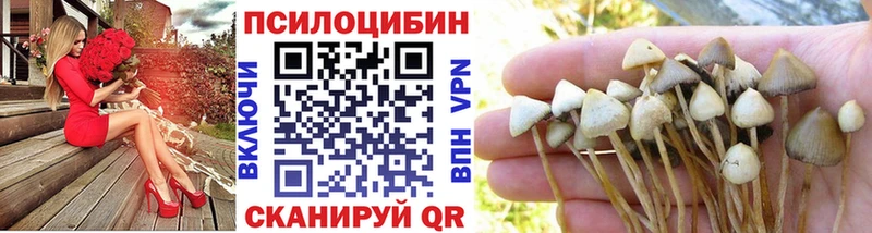 наркошоп  Хабаровск  Псилоцибиновые грибы Cubensis 