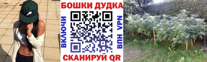 Бошки марихуана MAZAR маркетплейс какой сайт Хабаровск где продают наркотики
